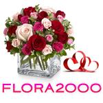 Flora2000-CouponWorldz.com