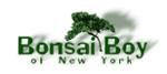 Bonsai Boy of New York-CouponWorldz.com