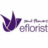 EFlorist-CouponWorldz.com